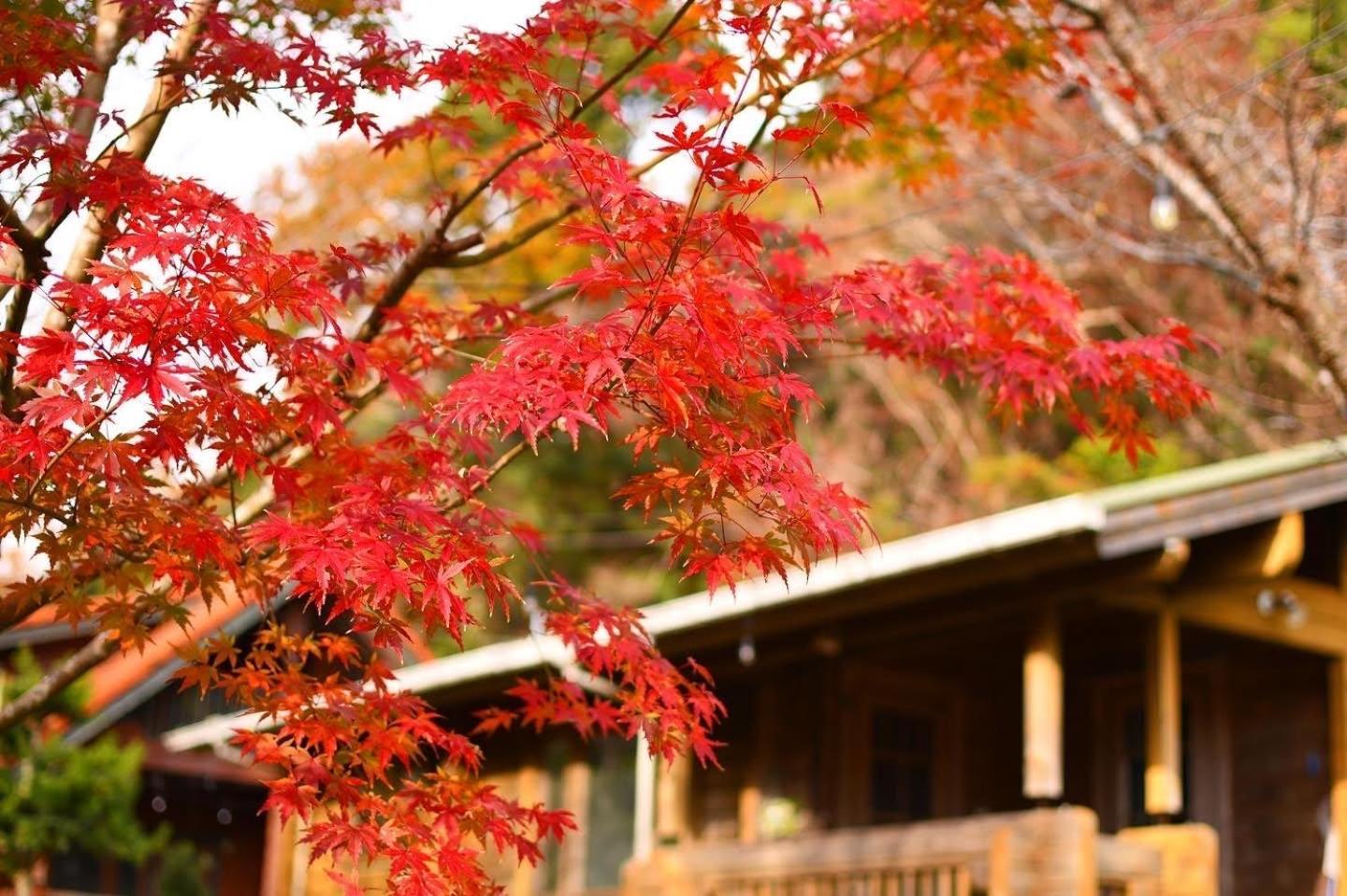 Sunny Side Cottage 下田市 エクステリア 写真